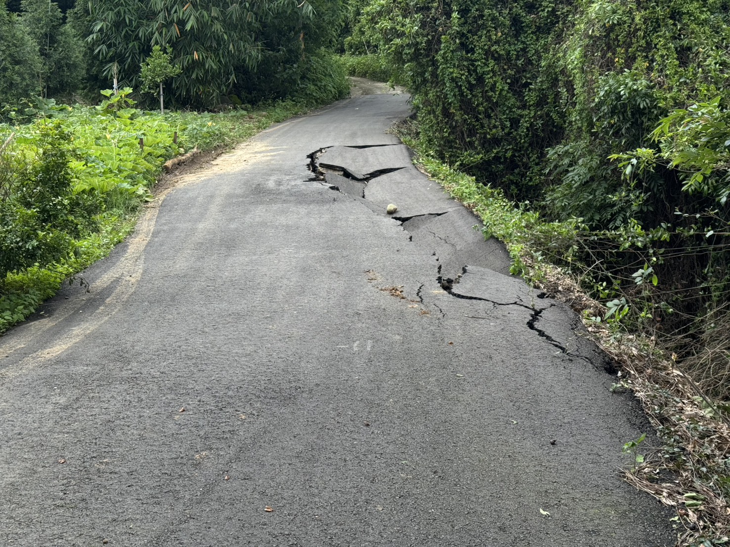 土砂災情地點圖片-新竹縣關西鎮東平里2鄰10號道路